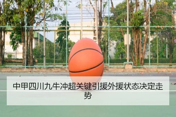 zhong-jia-si-chuan-jiu-niu-chong-chao-guan-jian-yin-yuan-wai-yuan-zhuang-tai-jue-ding-zou-shi-2-240.jpg